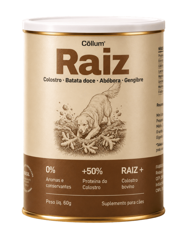 Lata Raiz da Cōllum, colostro com batata-doce, abóbora e gengibre