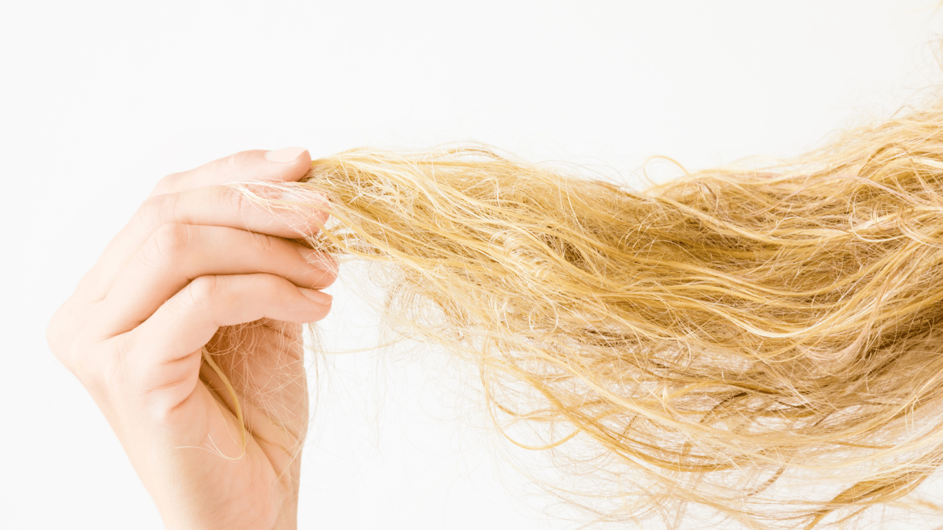 Repair Damaged Hair