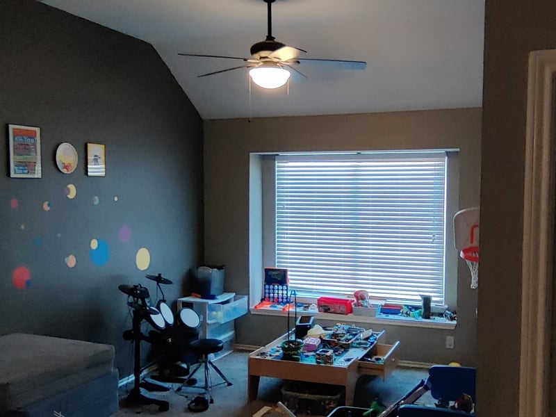 Whippoorwill — photo 2