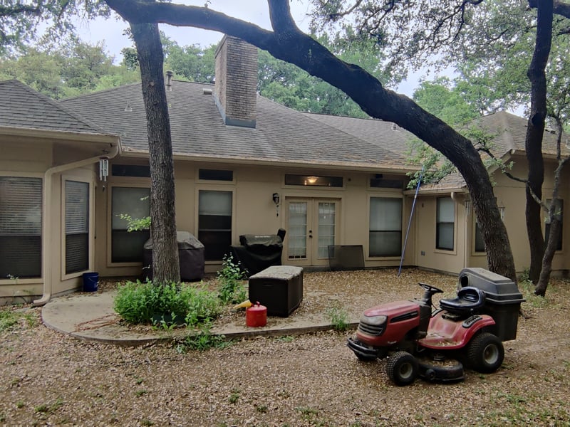 Dewberry — photo 3