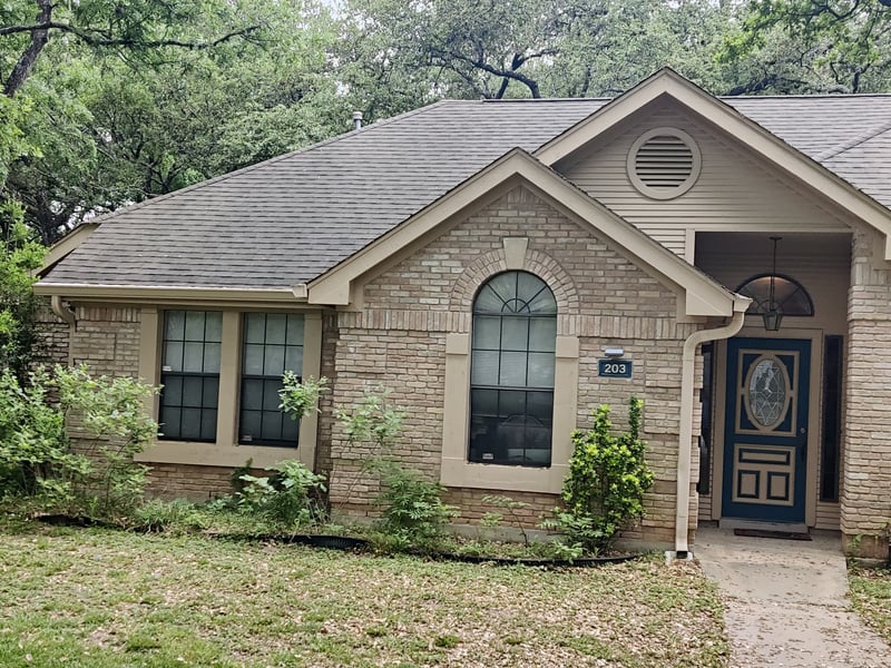 Dewberry — photo 1