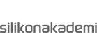 Silikon Akademi