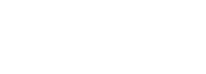 WAE Logo