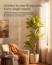 Rootless Plants ad delivered by Copia