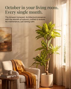 Rootless Plants ad delivered by Copia