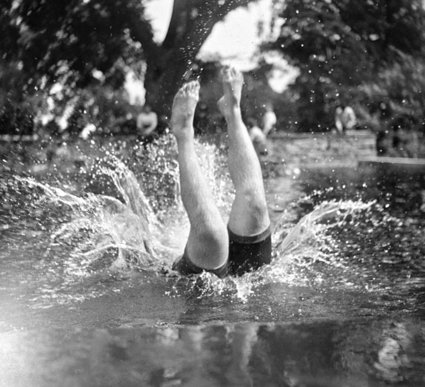Le plongeon