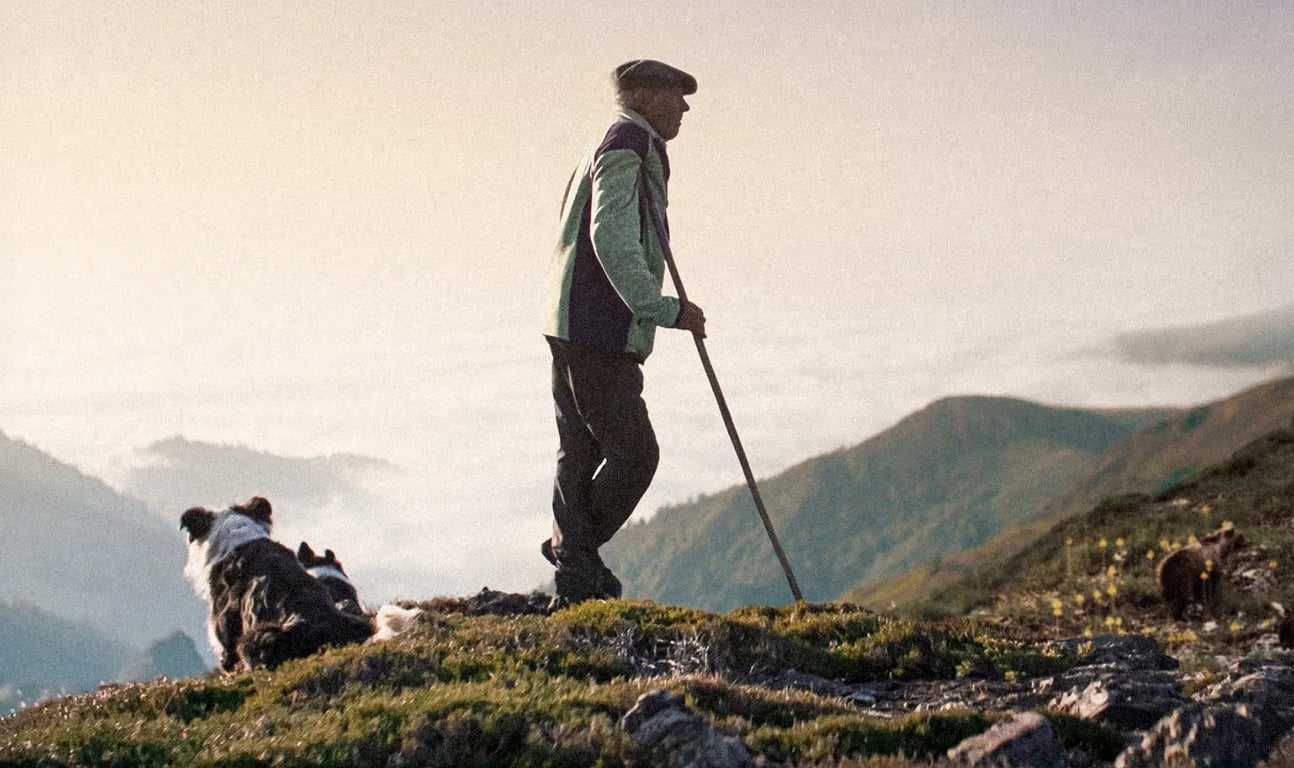 Le Berger seul face à la montagne
