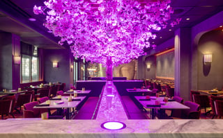Blackbird Modern Asian 1