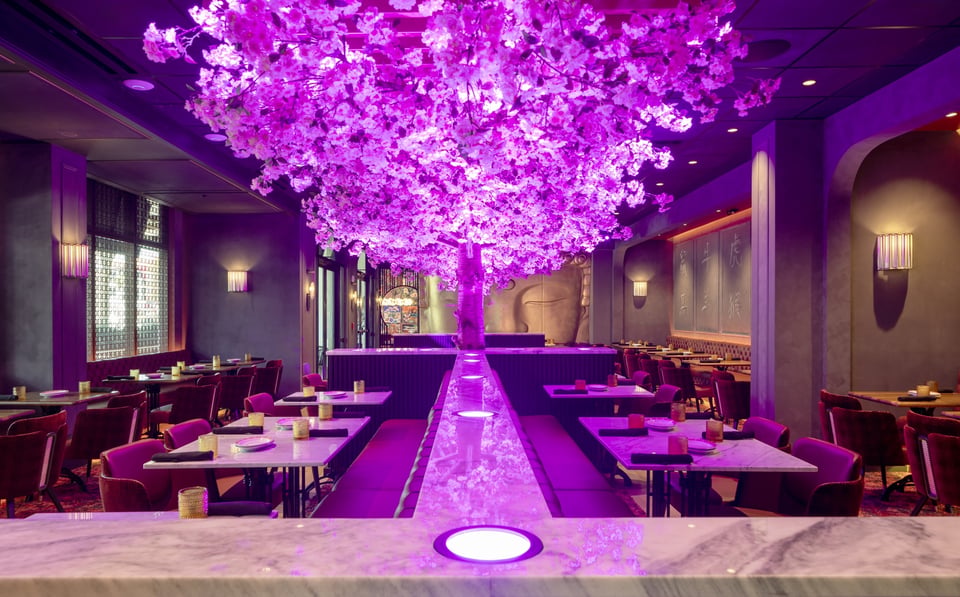 Blackbird Modern Asian