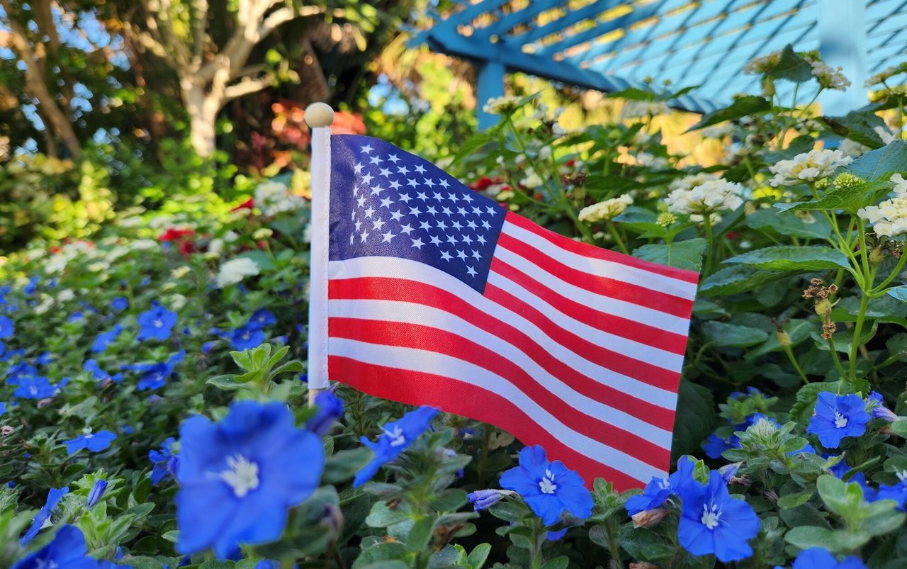 Veterans Day Appreciation