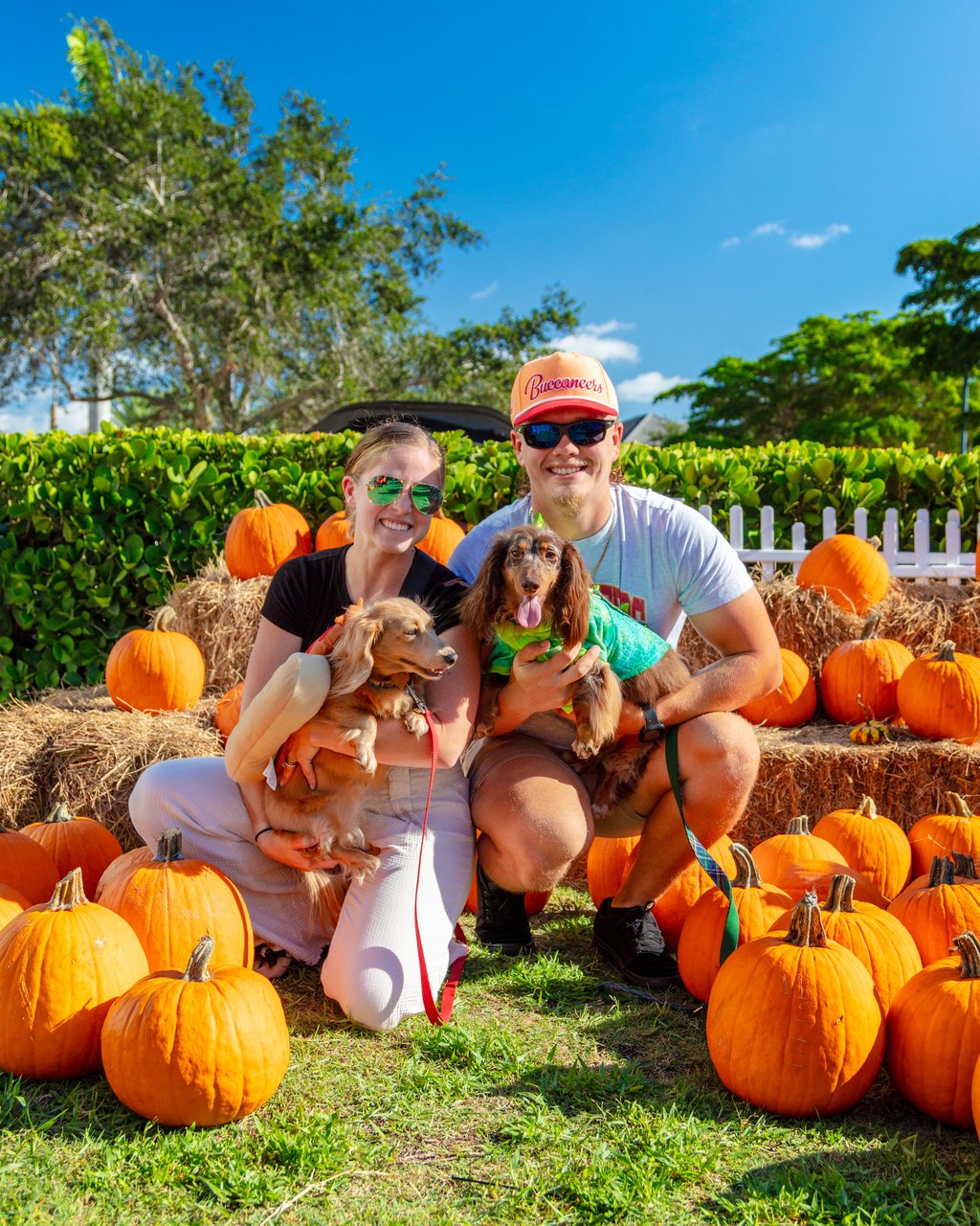 Pumpkin Patch - Mercato