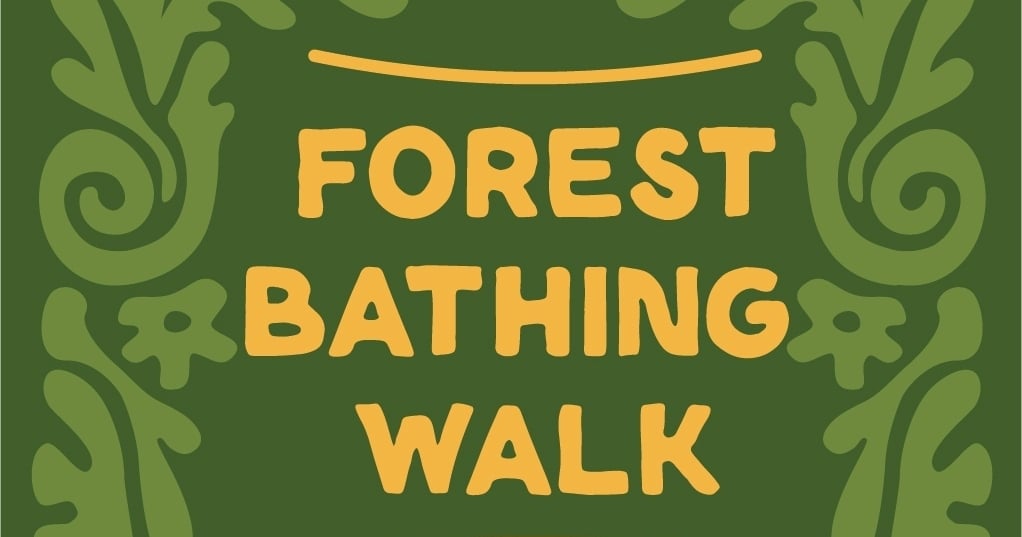 Forest Bathing Wellness Walk