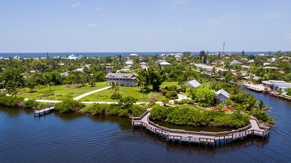  The Dolphins Of Southwest Florida