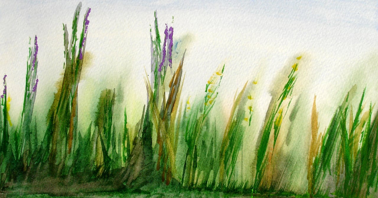 Watercolors & Wildlife: Painting with Jan