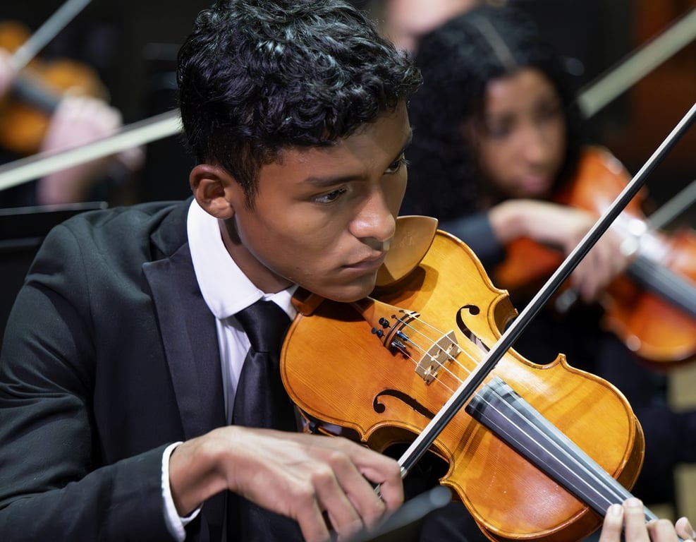Fall Chamber Ensembles — Naples Philharmonic Youth Orchestra