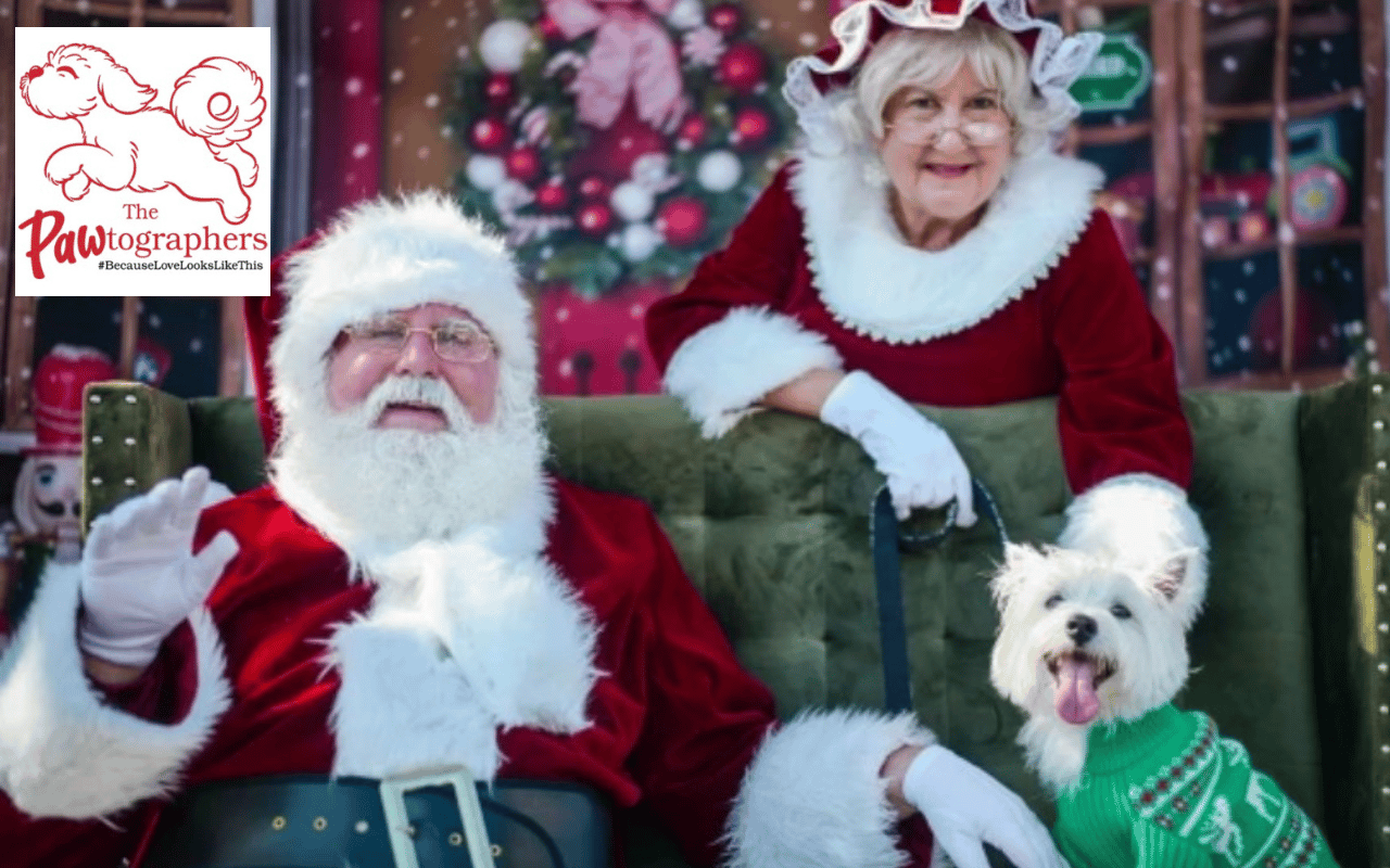 Santa Paws Returns to Third Street South!
