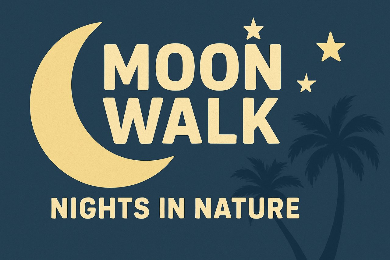 Moon Walk: Nights in Nature