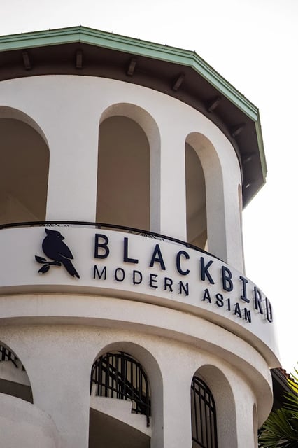 Blackbird Modern Asian photo 3