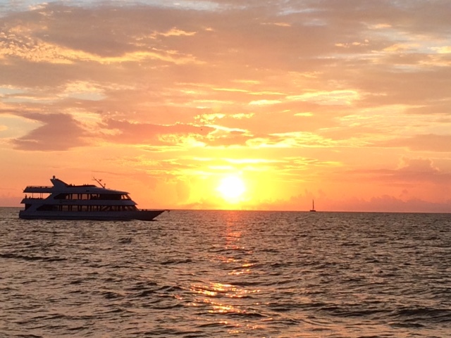 Naples princess sunset gulf