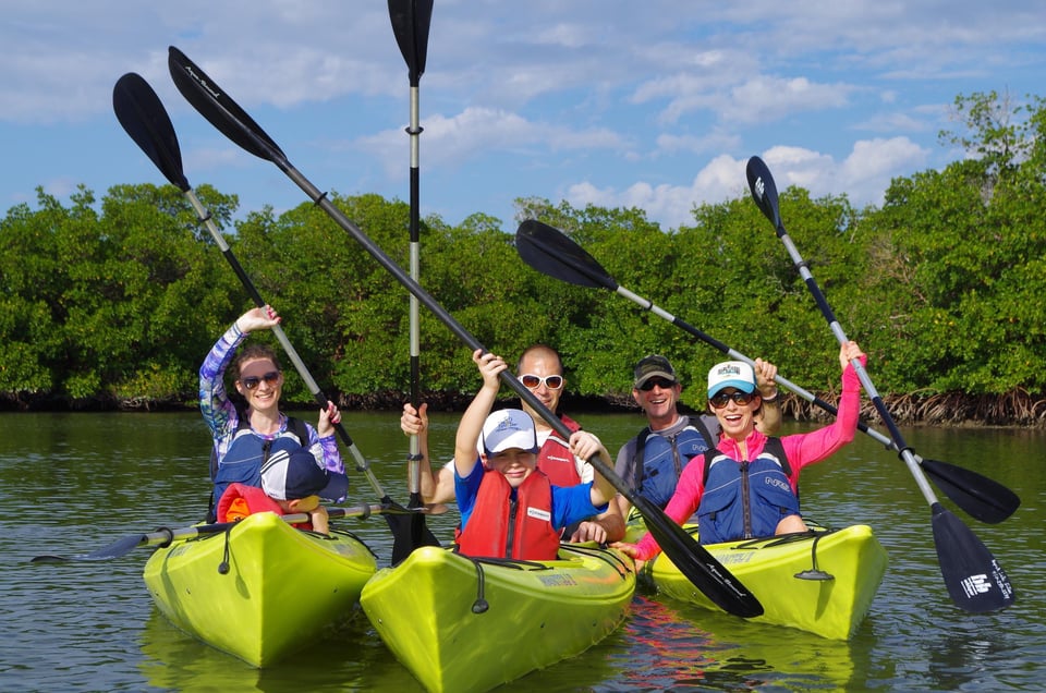Adventure paddle tours rookery group