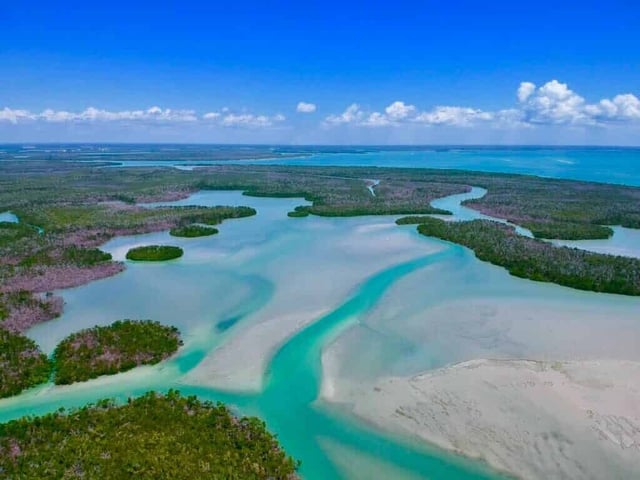 Ten Thousand Islands