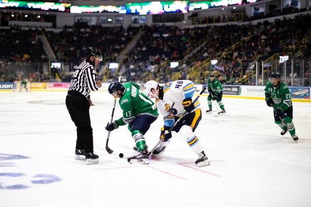 Florida everblades face off