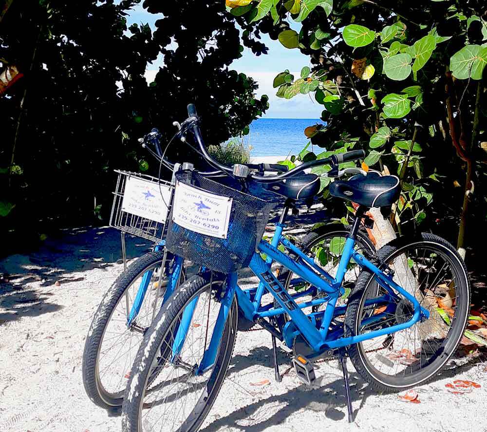 Beach bum bike rentals naples florida bike rentals near private beach access