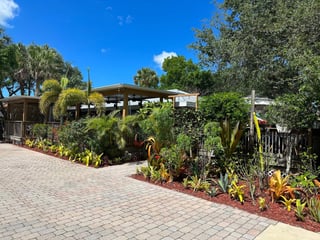 Survey cafe
