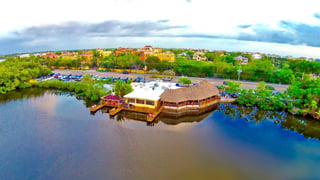 Coconut jacks aerial