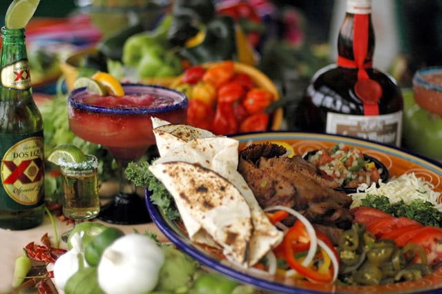 Iguana mia food