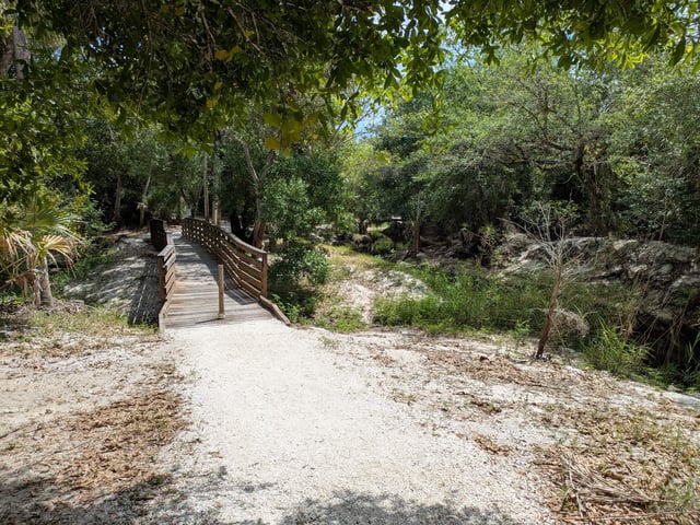 Cullums trail boardwalk
