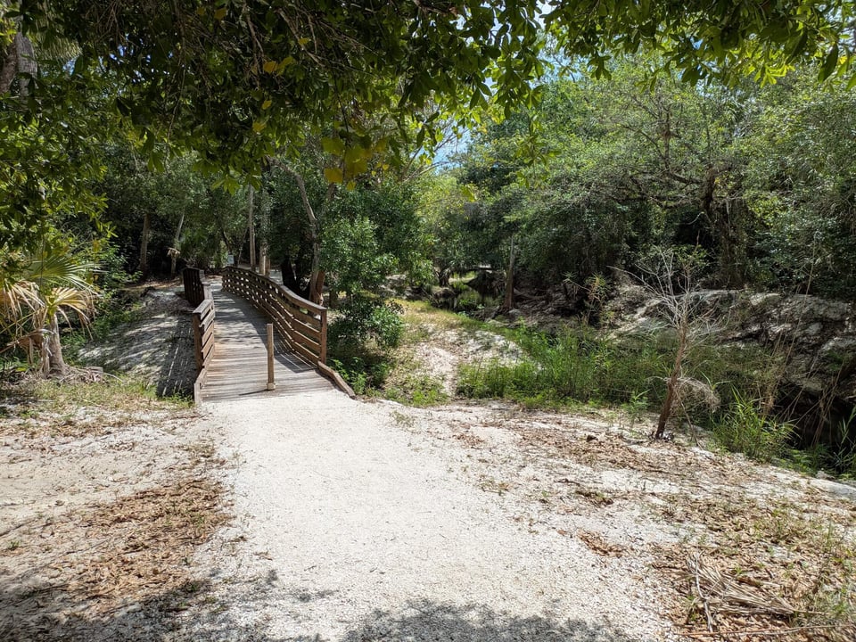 Cullums trail boardwalk