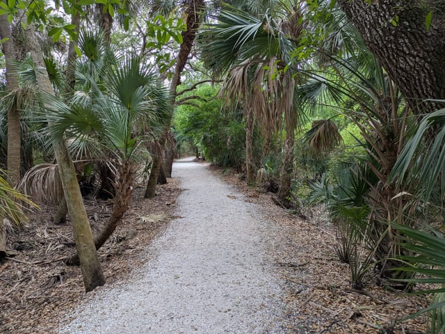 Cullums trail path