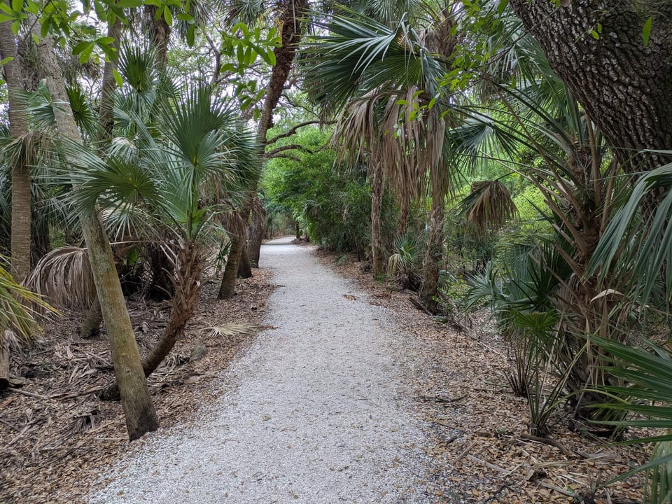 Cullums trail path