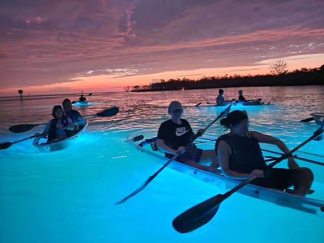 Paddlers in LED-lit clear kayaks glowing blue on calm water at dusk with a pink sunset sky and mangroves