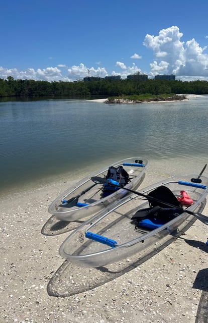 Two clear kayaks with blue paddles resting on a sandbar beside calm water and mangroves under bright blue sky