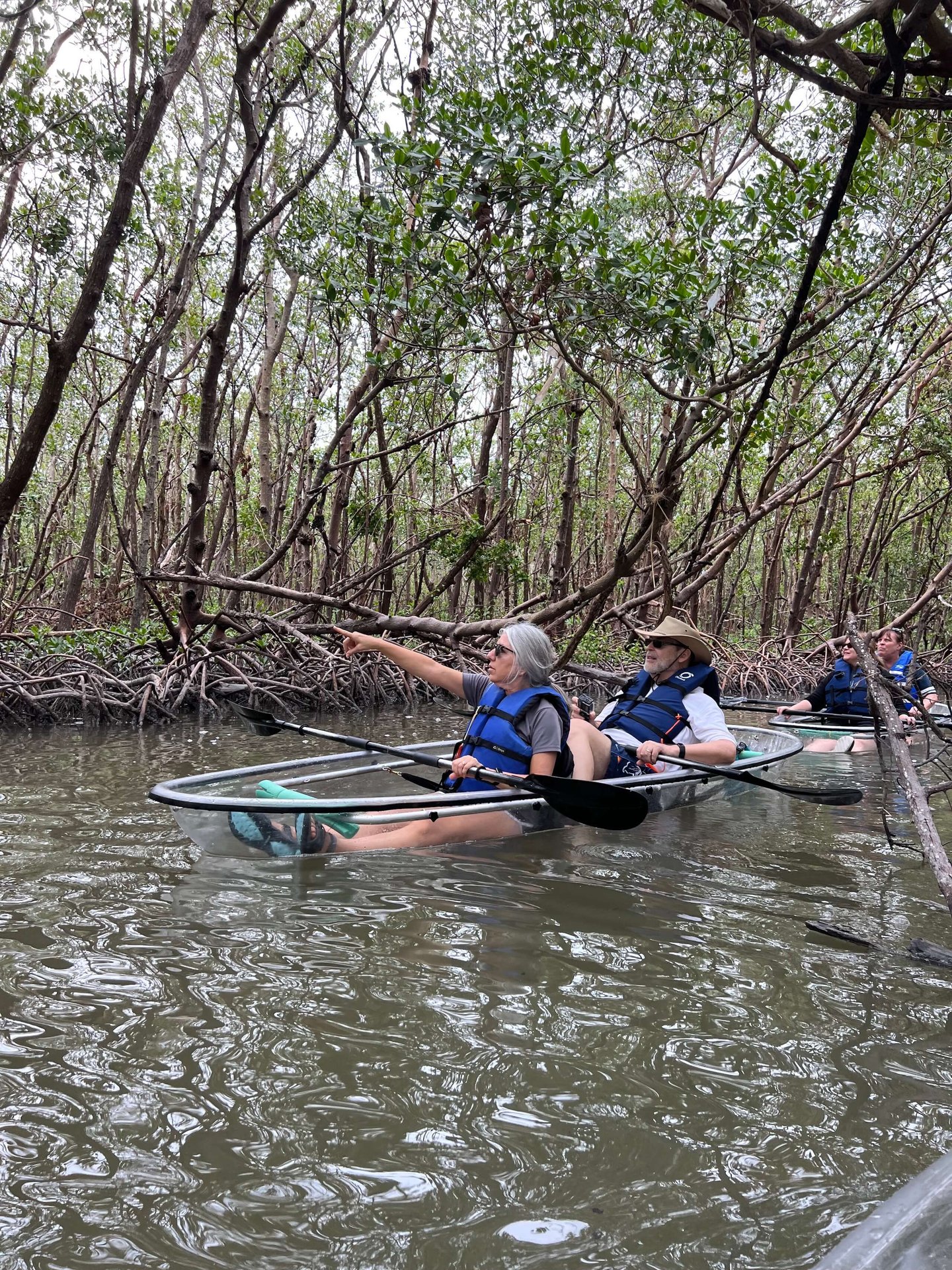 Two paddlers in life vests glide through a mangrove tunnel in a clear kayak, one pointing up at the branches