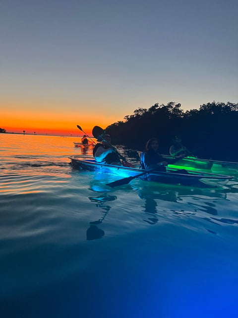 Paddlers in LED-lit clear kayaks glide across calm water at dusk with an orange sunset behind a mangrove shoreline
