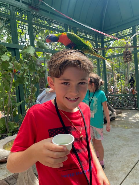 Wonder gardens encounters