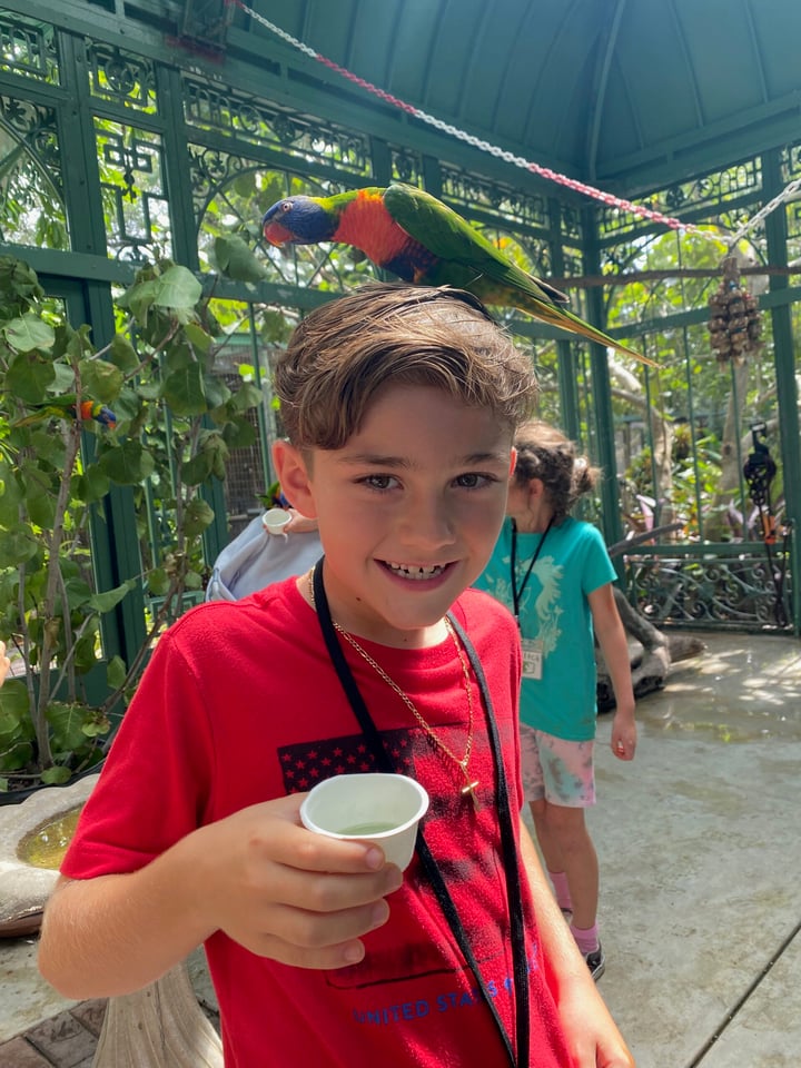 Wonder gardens encounters