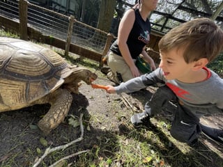 Wonder gardens animal encounter feeding