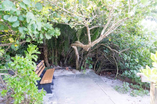 8th avenue north picnic bench