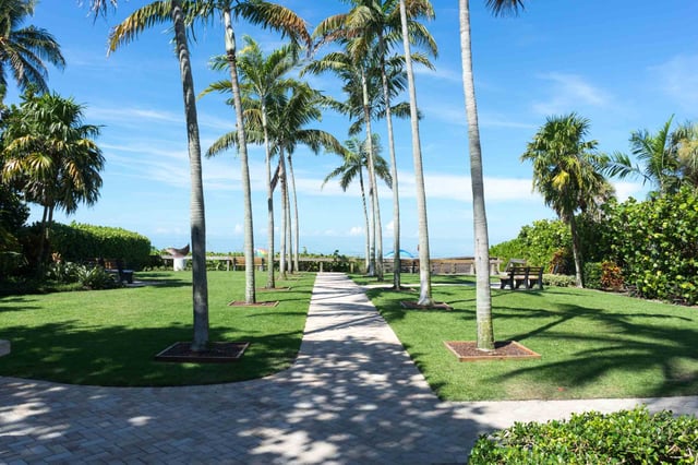 8th avenue south grass