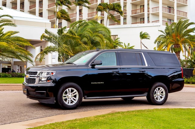 Dolphin SUV 31