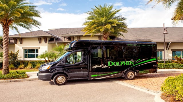 Ford van dolphin