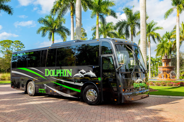 Temsa 41 dolphin transportation