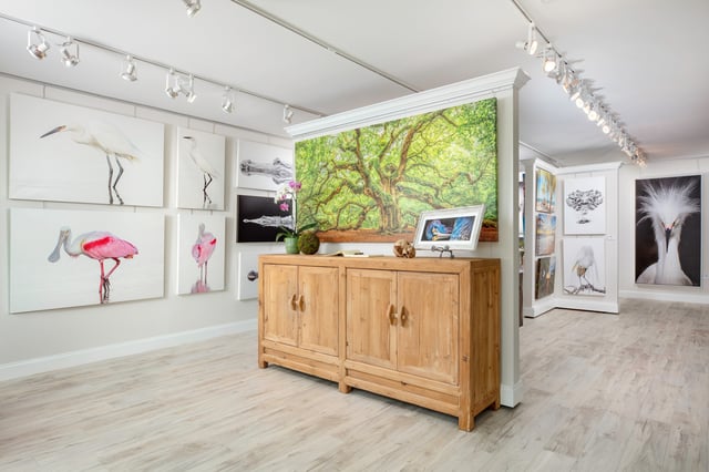 Dennis Goodman fine art photography studio