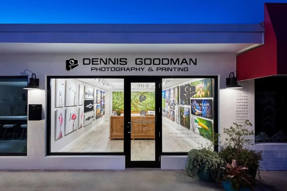 Dennis Goodman Front