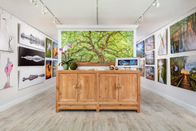 Gallery interior at Dennis Goodman Fine Art Photography with nature prints on white walls and a wooden counter topped with orchids