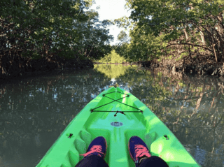 Naples grande kayak tour